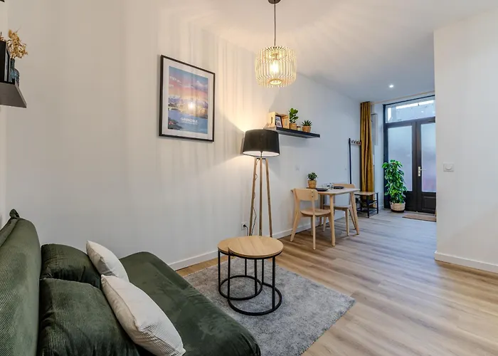 Joli T2- Cocooning - Wifi Fibre - Lave-linge * גרנובל